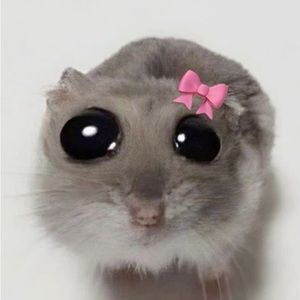 Meet your Posher, Kenji